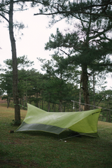 Green camping shelter among pine trees